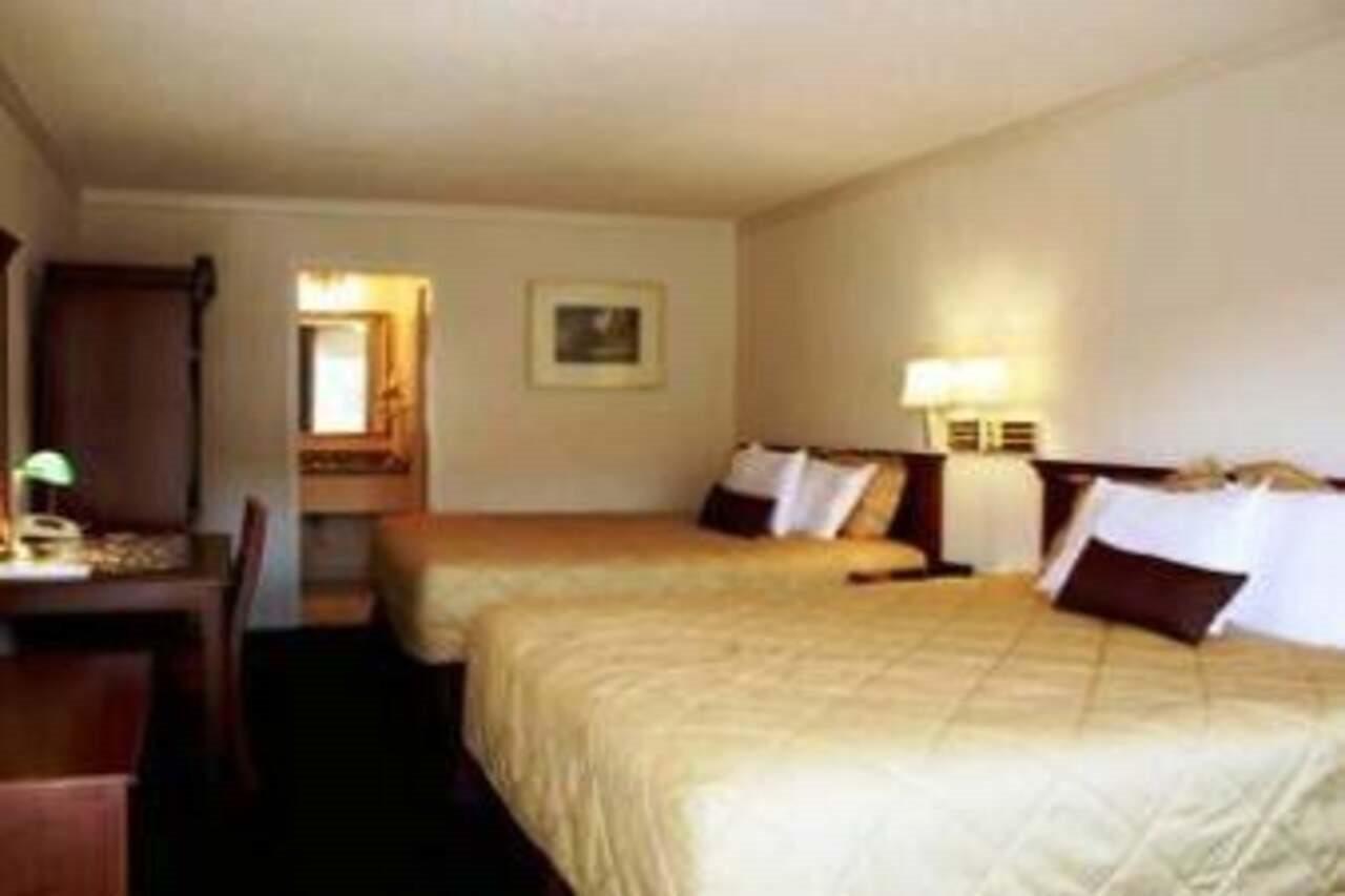 Pacific Motor Hotel San José